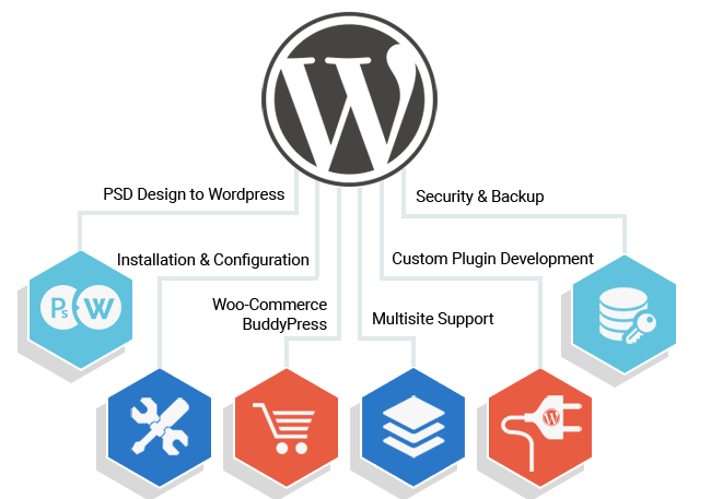 Wordpress Development